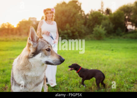 Jeune femme avec ses chiens à l'extérieur dans le parc Banque D'Images