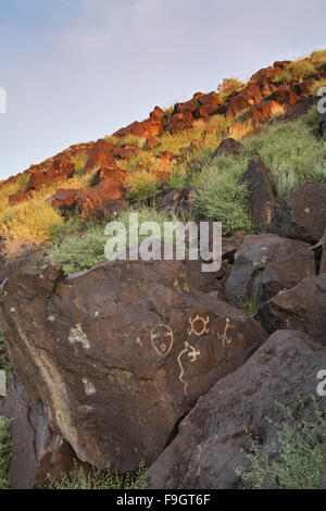 Pétroglyphes, Rinconada Canyon, Monument national Petroglyph, Albuquerque, Nouveau Mexique USA Banque D'Images