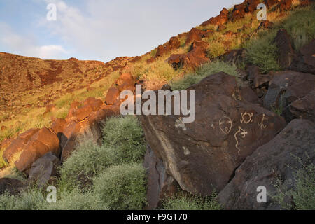 Pétroglyphes, Rinconada Canyon, Monument national Petroglyph, Albuquerque, Nouveau Mexique USA Banque D'Images