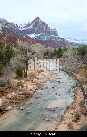 Virgin River dans Zion National Park, Utah Banque D'Images