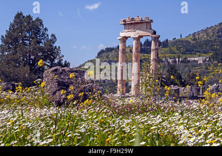 Le Tholos du sanctuaire d'Athena Pronaia dans l'oracle de Delphes site archéologique, dans la région, Fokida Grèce centrale Banque D'Images