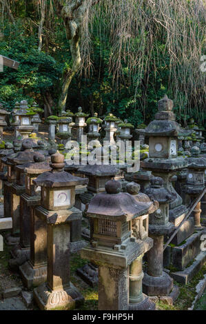 Lanternes de PIERRE JAPONAIS SUR L'écran d'affichage, Kasuga Taisha Temple (768), Nara, Japon Banque D'Images