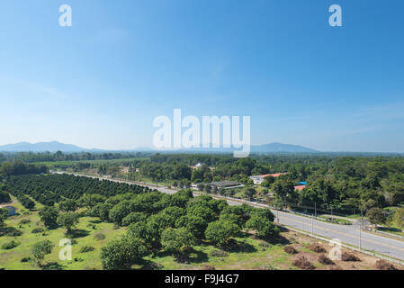 Chemin dans la forêt, vue du dessus Banque D'Images