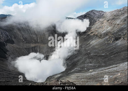 Vocalno Creater de Bromo, Java Est, Indonésie Banque D'Images