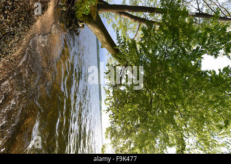 Le lac drawsko (jezioro drawsko), Poméranie lakeland (pojezierze pomorskie), Poméranie occidentale, Pologne Banque D'Images