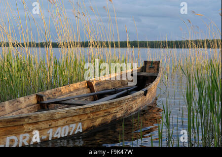 Barque en bois, lac drawsko (jezioro drawsko), Poméranie lakeland (pojezierze pomorskie), Poméranie occidentale, Pologne Banque D'Images