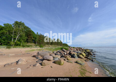 Plage à tuja, golfe de Riga, Lettonie Banque D'Images