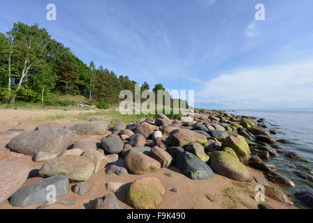 Plage à tuja, golfe de Riga, Lettonie Banque D'Images