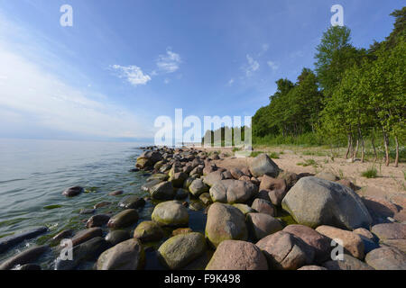 Plage à tuja, golfe de Riga, Lettonie Banque D'Images