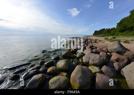 Plage à tuja, golfe de Riga, Lettonie Banque D'Images