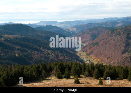 Rechercher à partir de la montagne feldberg en vallée, schwarzwald, breisgau hochschwarzwald, district de Bade-Wurtemberg, Allemagne Banque D'Images