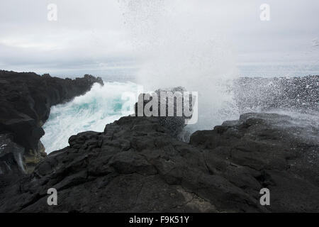 Les disjoncteurs, Ponta do bacelo, São Miguel, Açores, Portugal Banque D'Images