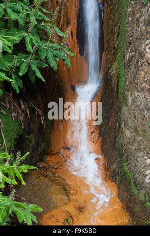 Cascade, Ribeira Quente, São Miguel, Açores, Portugal Banque D'Images