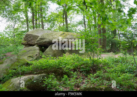 Tombe mégalithique, bischofsbrück cloppenburg district, Basse-Saxe, Allemagne Banque D'Images