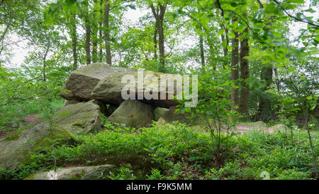 Tombe mégalithique, bischofsbrück cloppenburg district, Basse-Saxe, Allemagne Banque D'Images