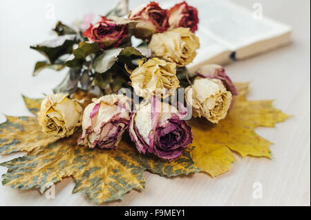 Still Life. séché roses et livre Banque D'Images