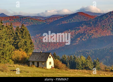 Vieille maison abandonnée et coloré à l'automne de la forêt dense de temps Banque D'Images