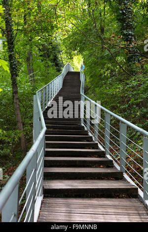 Pannonhalma Abbaye Bénédictine et centre de visiteurs, Pannonhalma, Hongrie. Soulevées et s'allée en bois à travers les arbres dans le parc de l'abbaye de Pannonhalma. Banque D'Images