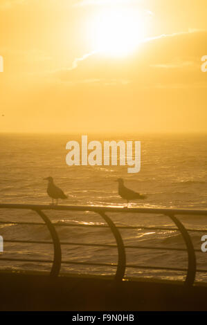 Blackpool, Royaume-Uni. 17 décembre 2015. Avec le temps d'hiver exceptionnellement doux continuant il y avait un bonus dans Blackpool, ce soir, avec un beau coucher de soleil pour terminer la journée. Crédit : Gary Telford/Alamy live news Banque D'Images