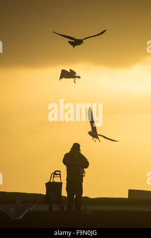 Blackpool, Royaume-Uni. 17 décembre 2015. Avec le temps d'hiver exceptionnellement doux continuant il y avait un bonus dans Blackpool, ce soir, avec un beau coucher de soleil pour terminer la journée. Un double bonus pour les mouettes alors ! Crédit : Gary Telford/Alamy live news Banque D'Images