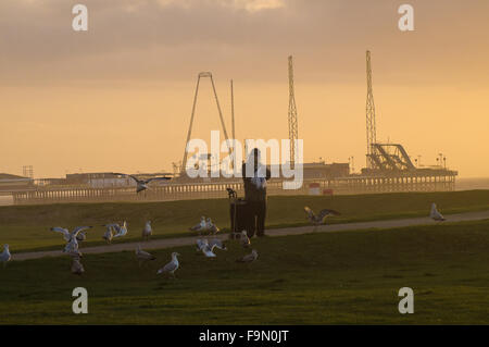 Blackpool, Royaume-Uni. 17 décembre 2015. Avec le temps d'hiver exceptionnellement doux continuant il y avait un bonus dans Blackpool, ce soir, avec un beau coucher de soleil pour terminer la journée. Un double bonus pour les mouettes alors ! Crédit : Gary Telford/Alamy live news Banque D'Images