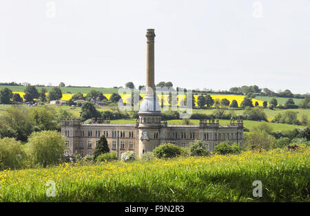 Bliss à Chipping Norton, Oxfordshire avec un champ de renoncules d'été à l'avant-plan Banque D'Images