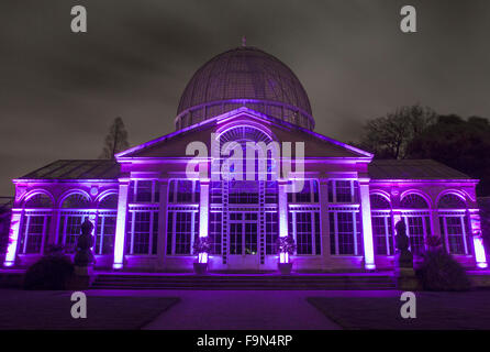 Une vue de la magnifiquement illuminés Grand Conservatory de Syon Park, Londres. Banque D'Images