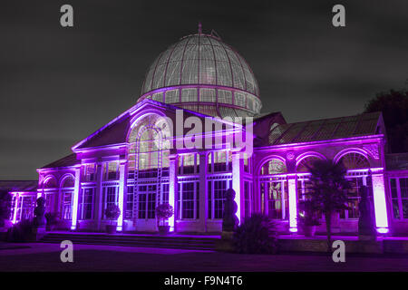 Une vue de la magnifiquement illuminés Grand Conservatory de Syon Park, Londres. Banque D'Images