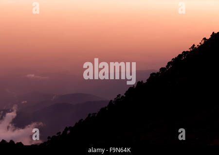 Silhouette de versant de montagne Tajumulco avec arbres devant coucher de soleil mauve orange Banque D'Images