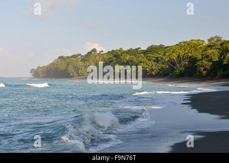 Beach dans le parc national Corcovado Costa Rica Banque D'Images
