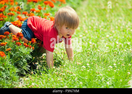 Petit garçon se traîne à quatre pattes dans la pelouse Banque D'Images