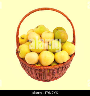 Panier de pommes Crème blanche Banque D'Images