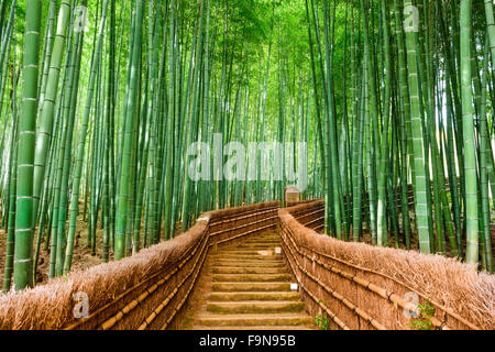 Kyoto, Japon à la forêt de bambou. Banque D'Images