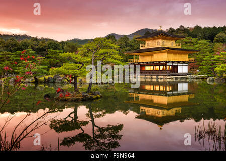 Kyoto, au Japon, au pavillon d'or au crépuscule. Banque D'Images