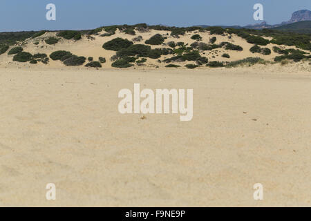 Les dunes de Piscinas, dans le sud-ouest de la Sardaigne, Italie Banque D'Images