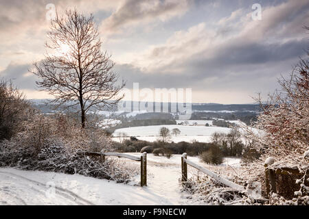 Le soleil commence à percer les nuages d'hiver sur froid matin, Newlands Corner Banque D'Images