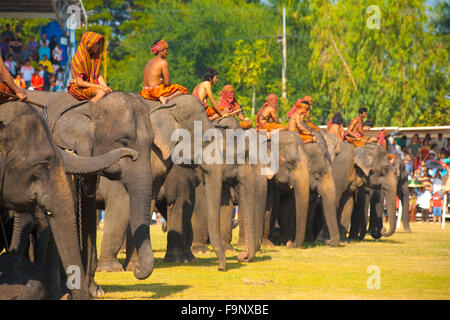 Une rangée d'éléphants et leurs formateurs montés debout alignés dans une rangée sur le champ de performance lors de l'assemblée annuelle de l'éléphant Surin R Banque D'Images