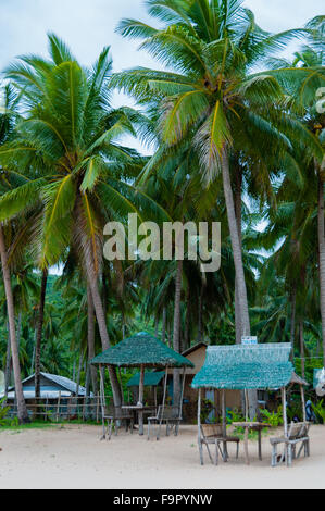 De petites huttes de bambou Nipa sur la plage sous les palmiers Banque D'Images