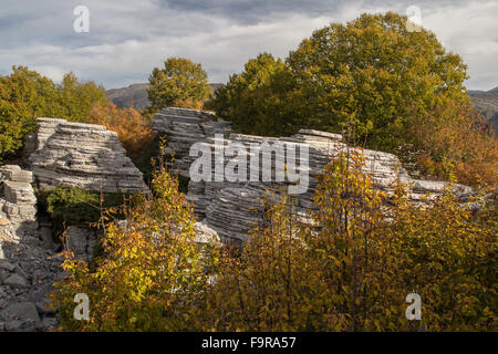 Calcaire érodé pinnacles dans un bois à Oxia, au-dessus de la gorge de Vikos, Épire, Zagori, Grèce. Banque D'Images