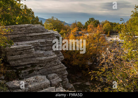 Calcaire érodé pinnacles dans un bois à Oxia, au-dessus de la gorge de Vikos, Épire, Zagori, Grèce. Banque D'Images