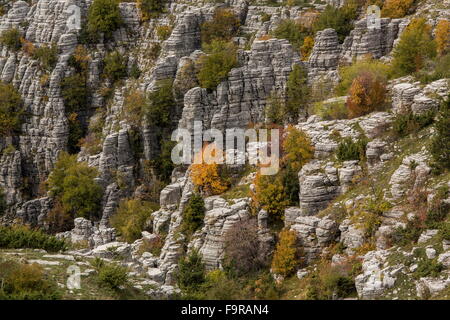 Pinacles de calcaire et la couleur en automne dans la nature, au-dessus de Kapesovo, Zagori, Epirus Banque D'Images