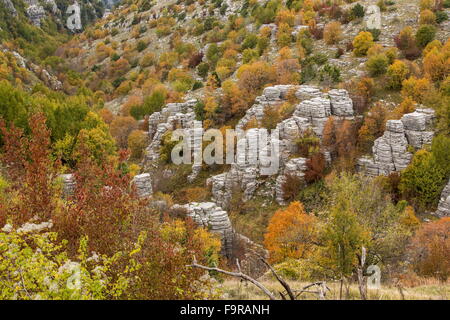 Pinacles de calcaire et la couleur en automne dans la nature, au-dessus de Kapesovo, Zagori, Epirus Banque D'Images