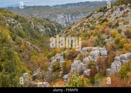 Pinacles de calcaire et la couleur en automne dans la nature, au-dessus de Kapesovo, Zagori, Epirus Banque D'Images