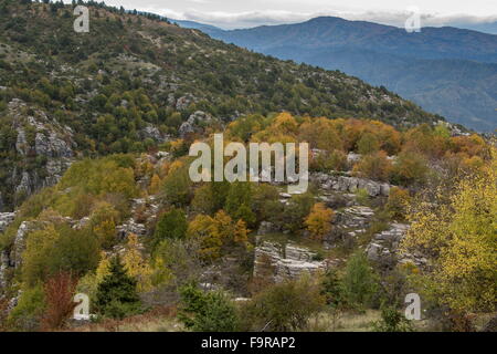 Pinacles de calcaire et la couleur en automne dans la nature, au-dessus de Kapesovo, Zagori, Epirus Banque D'Images