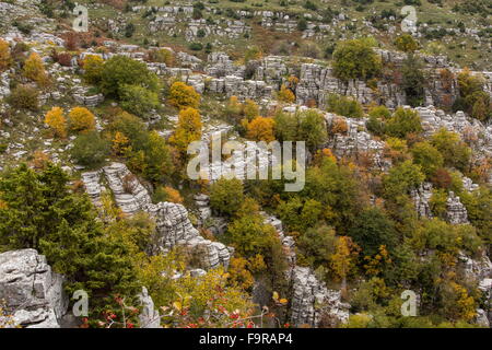 Pinacles de calcaire et la couleur en automne dans la nature, au-dessus de Kapesovo, Zagori, Epirus Banque D'Images