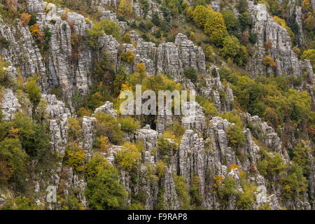 Pinacles de calcaire et la couleur en automne dans la nature, au-dessus de Kapesovo, Zagori, Epirus Banque D'Images