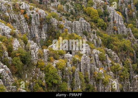 Pinacles de calcaire et la couleur en automne dans la nature, au-dessus de Kapesovo, Zagori, Epirus Banque D'Images