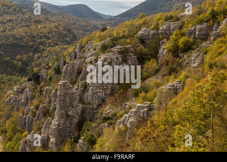 Pinnacles rock dans la vallée de la rivière Voidhomatis, Gorge de Vikos, ci-dessous Koukouli ; Parc National de vikos Aoos-, Zagori, Epirus Banque D'Images