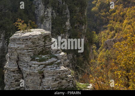 Pinnacles rock dans la vallée de la rivière Voidhomatis, Gorge de Vikos, ci-dessous Koukouli ; Parc National de vikos Aoos-, Zagori, Epirus Banque D'Images