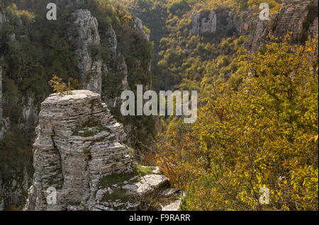 Pinnacles rock dans la vallée de la rivière Voidhomatis, Gorge de Vikos, ci-dessous Koukouli ; Parc National de vikos Aoos-, Zagori, Epirus Banque D'Images